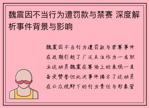 魏震因不当行为遭罚款与禁赛 深度解析事件背景与影响